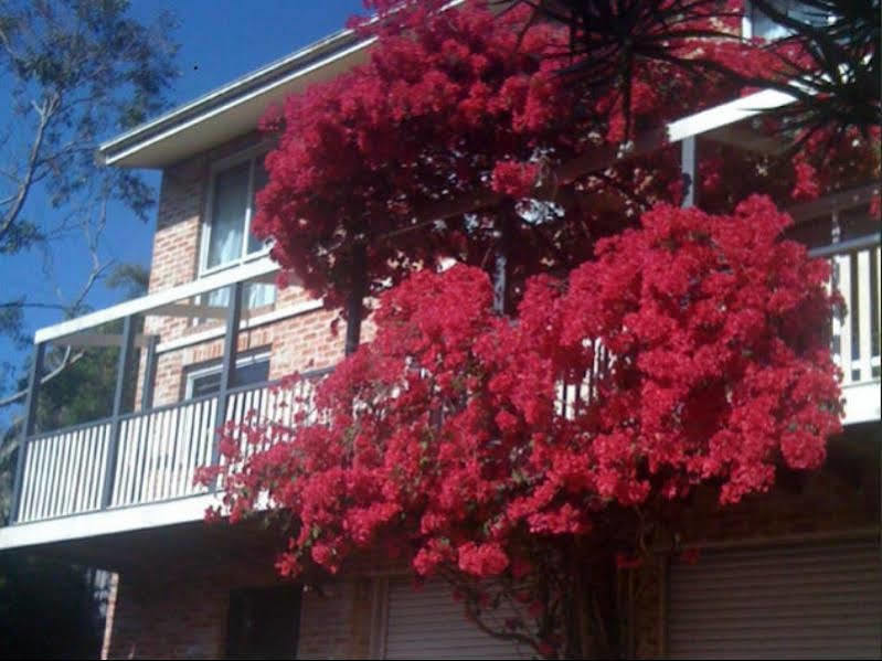 Linley House Sidney Exterior foto
